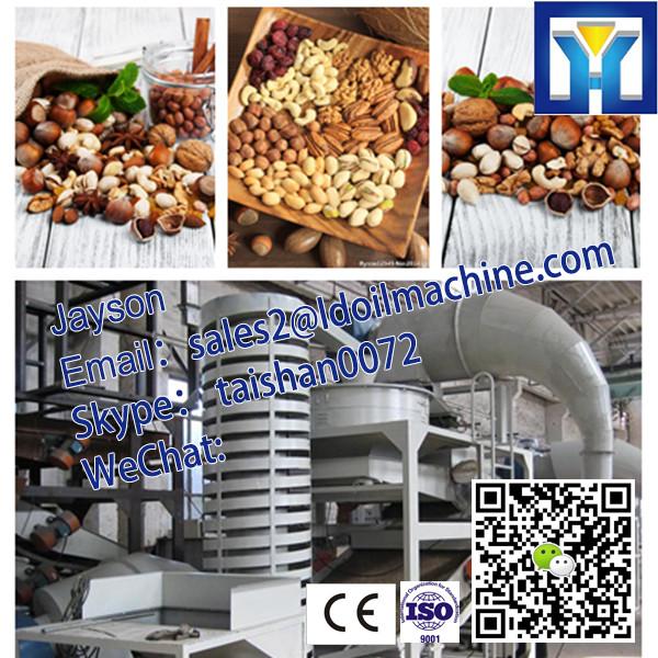 40 years experience factory price professional palm kernel oil extraction machine #3 image