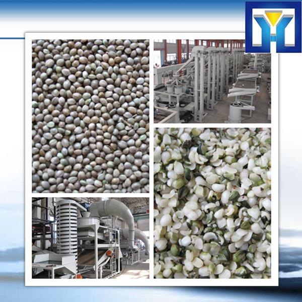 50-100kg/h Good quality Hydraulic olive oil making machine #1 image