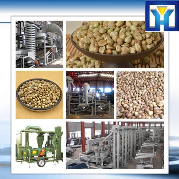 40 years experience factory price professional cold-pressed oil extraction machine #1 image