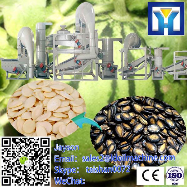 Factory Price Soya Bean Roasting Machine Soybean Roaster #1 image