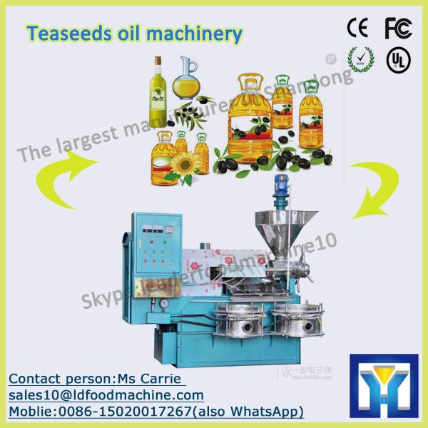 10-300TPD energy-saving sunflower seed oil press machine #1 image